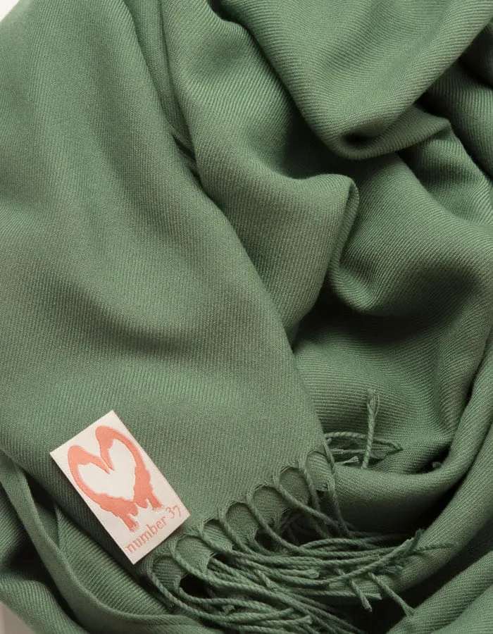 Khaki Green Pashmina