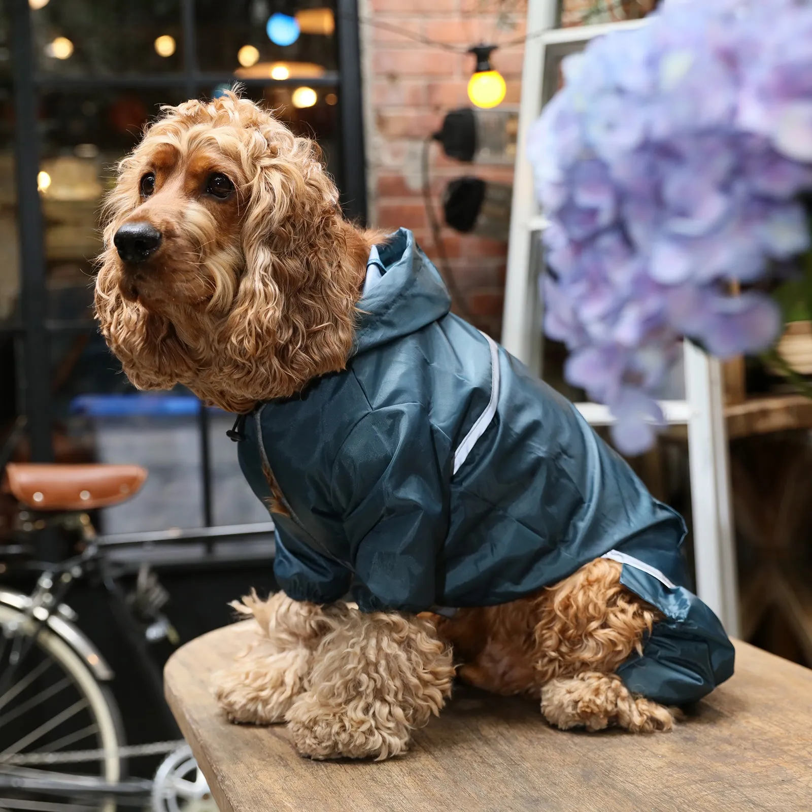 Ultralight Full covered hooded waterproof dog jacket - Blue