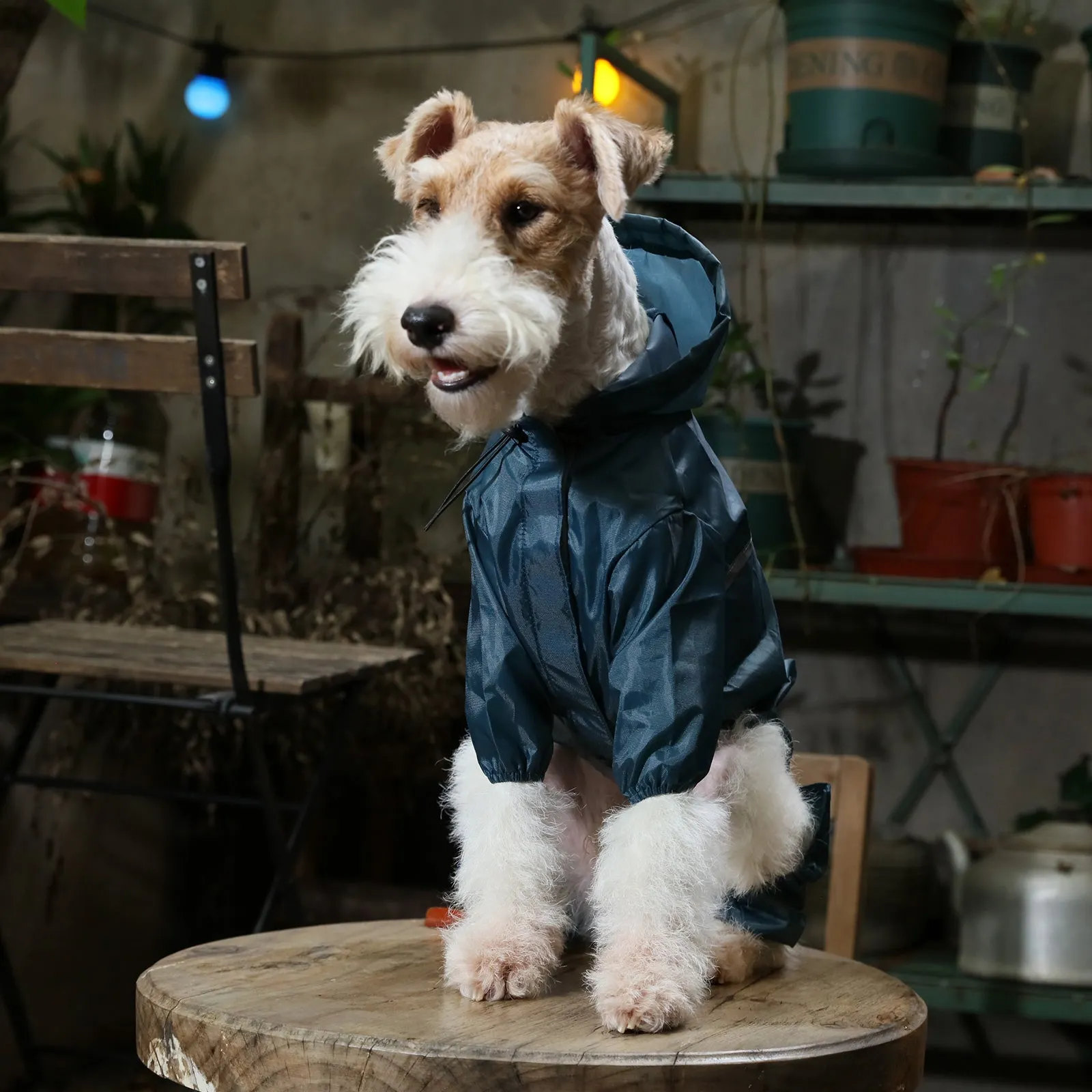 Ultralight Full covered hooded waterproof dog jacket - Blue